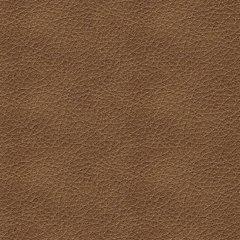 Bolsena Sofa Sleeper - Furniture House (Dover,NJ)